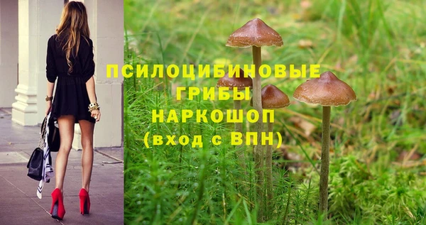 ALPHA PVP Аркадак