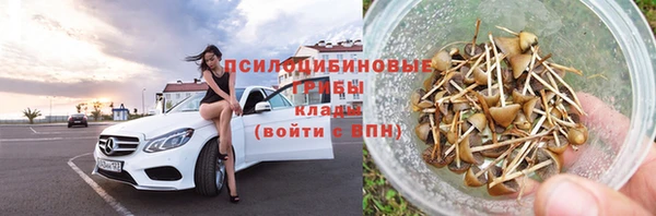 хмурый Алексеевка